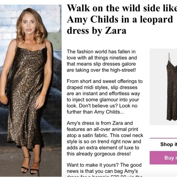 Zara Blogger Favorite Leopard Print Slip Dress - Picture 15 of 15